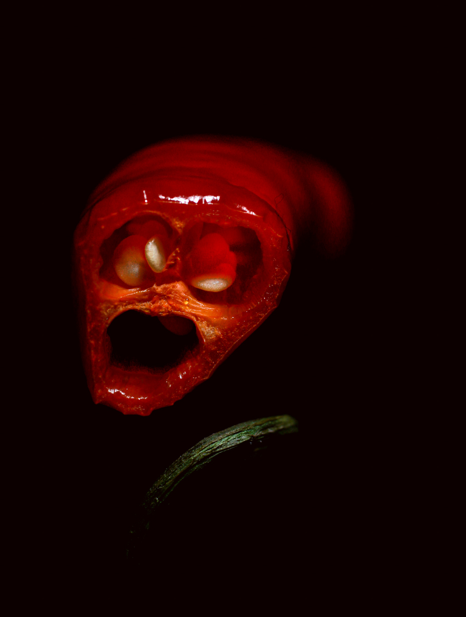 76-2302-Food For Thought2.jpg